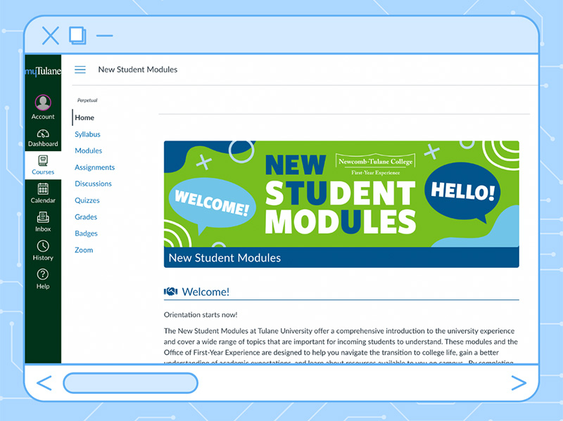 A preview of the New Student Modules hosted in the Canvas platform