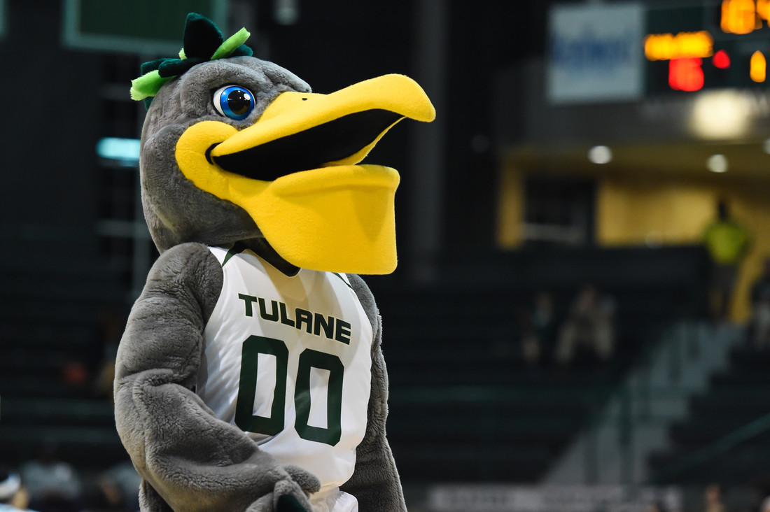 Riptide, the Tulane mascot